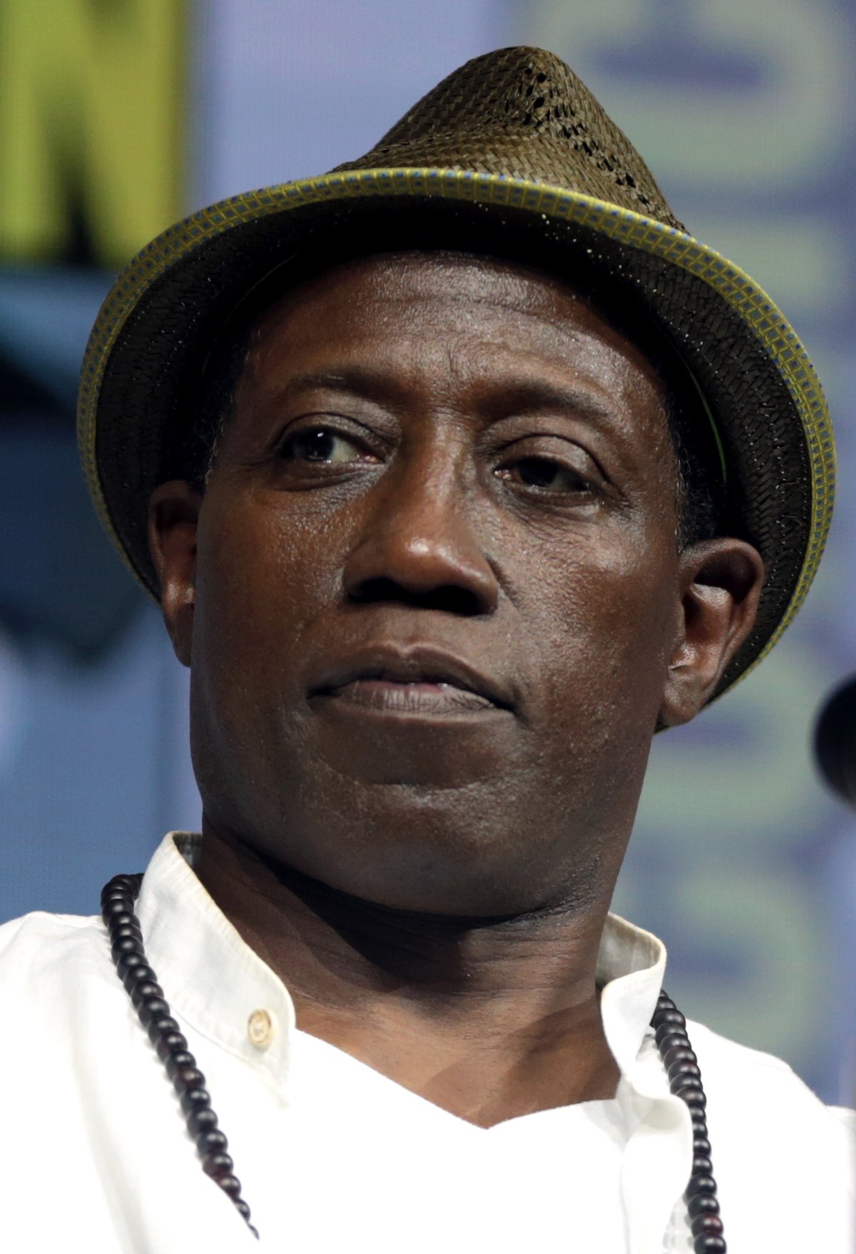 Wesley_Snipes_(41969097750)_(cropped)