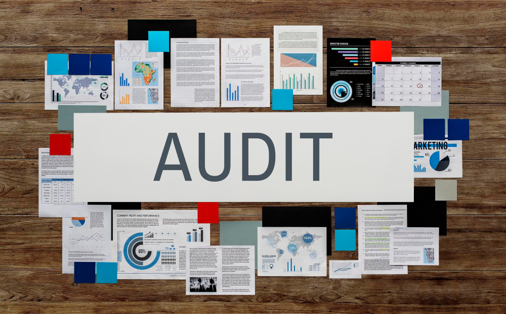 DDP Project Auditing ensuring compliance, documentation accuracy, and transparent reporting for development projects